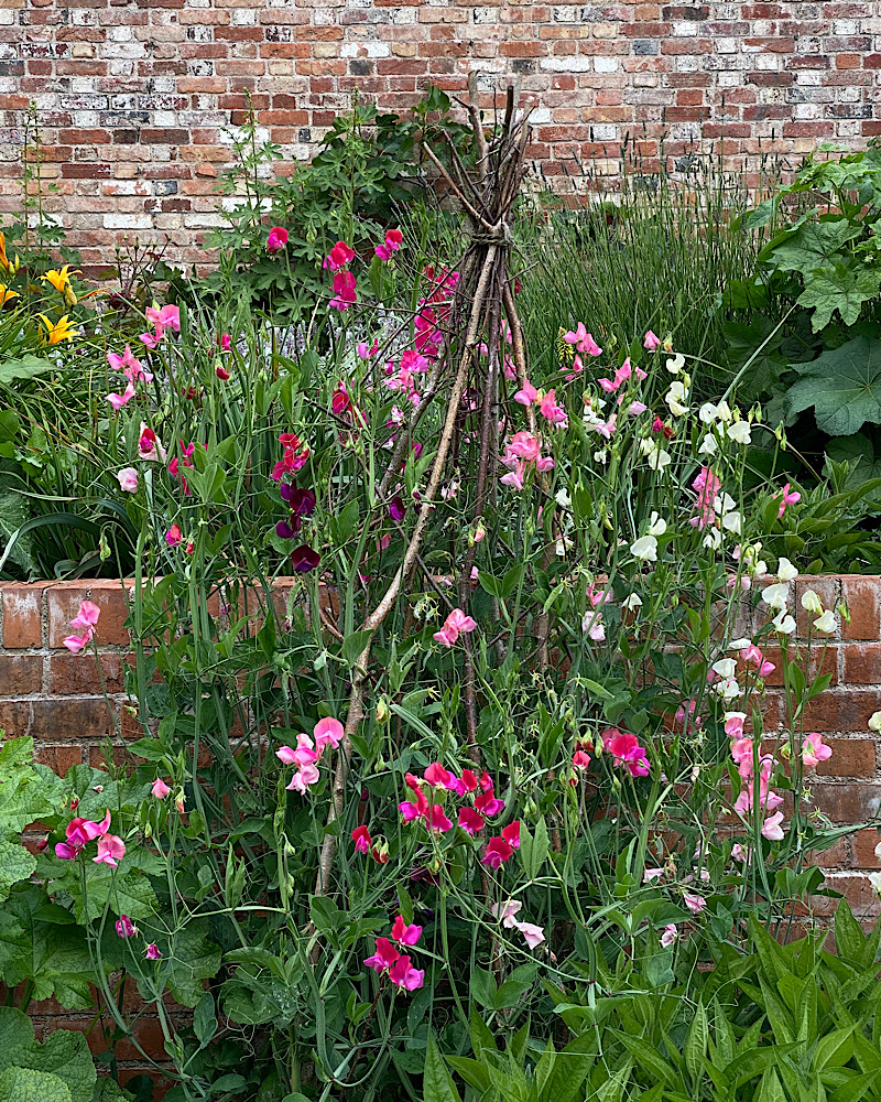 The Newt in Somerset Great Garden Escape