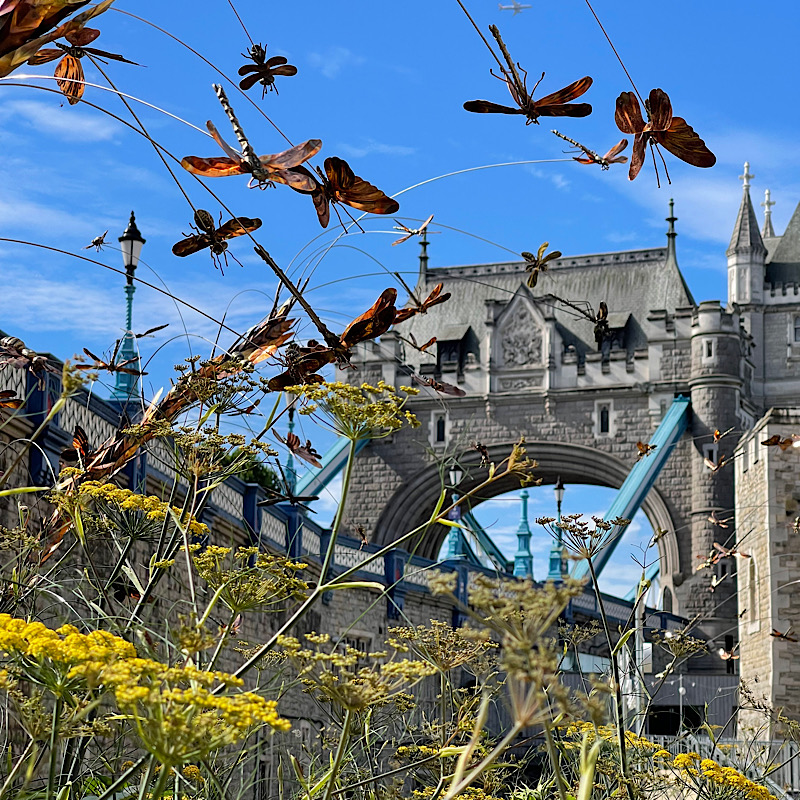 Mehrdad Tafreshi copper insects at Superbloom at The Tower of London