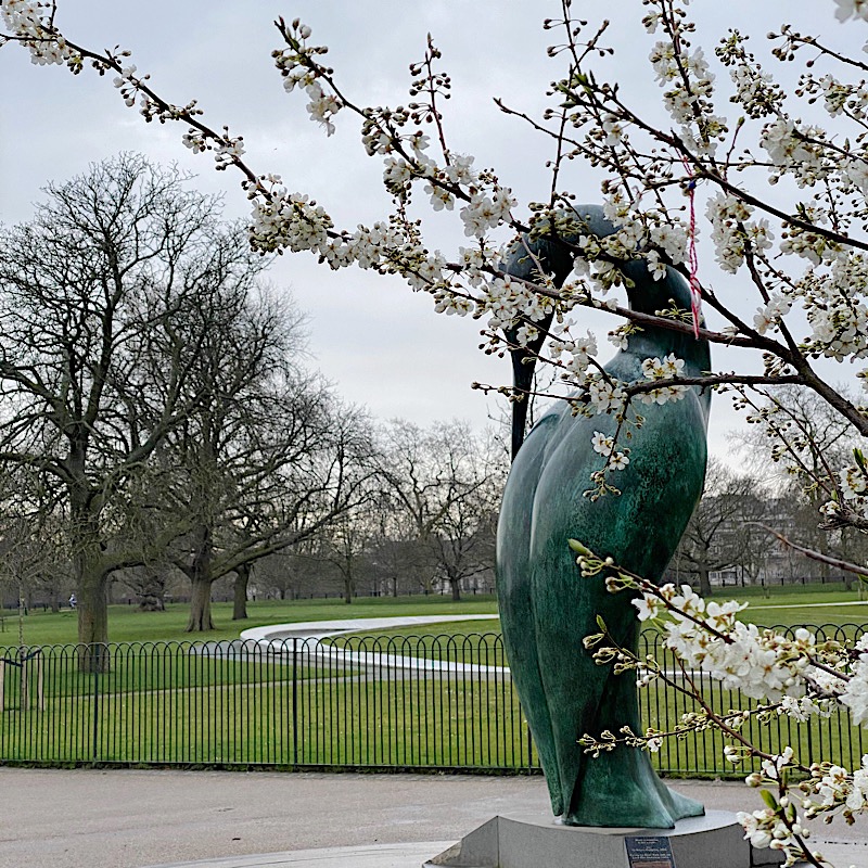 Hyde Park in spring time by the Princess Diana memorial
