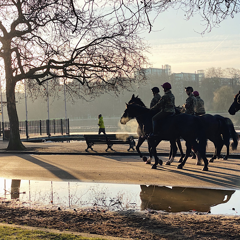 Morning walks with the horses in Hyde Park