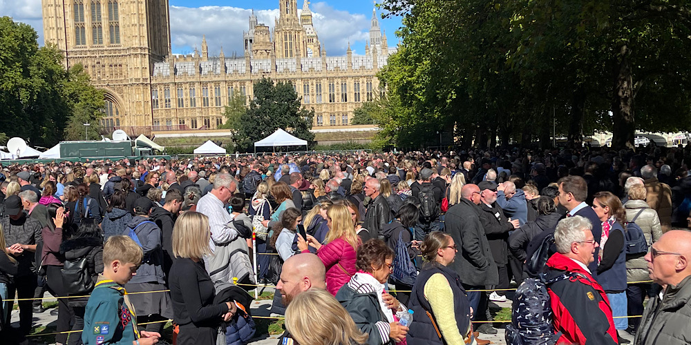 Queueing for the queen. The snake
