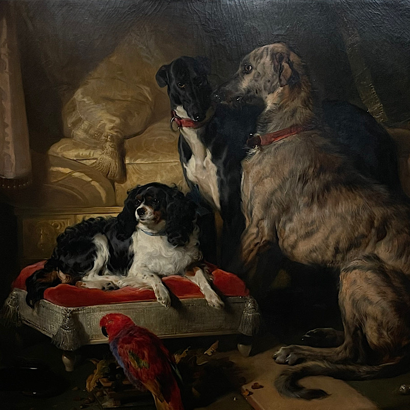 portrait of dogs 2
