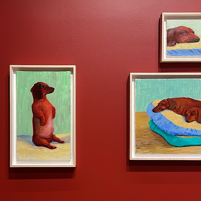 Hockney at Portrait of dogs