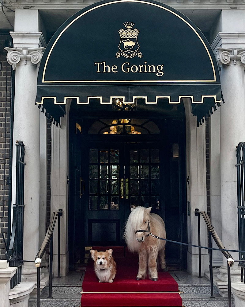 The Goring hotel jubilee afternoon tea 