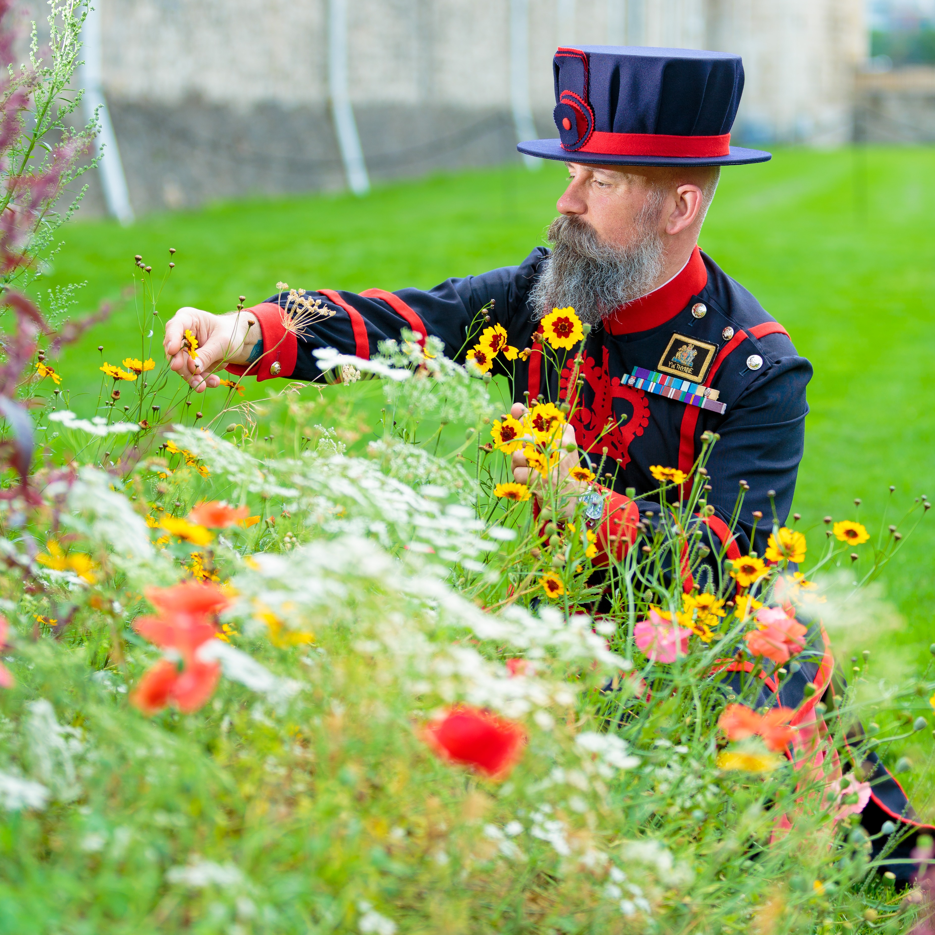 Superbloom at Tower of London