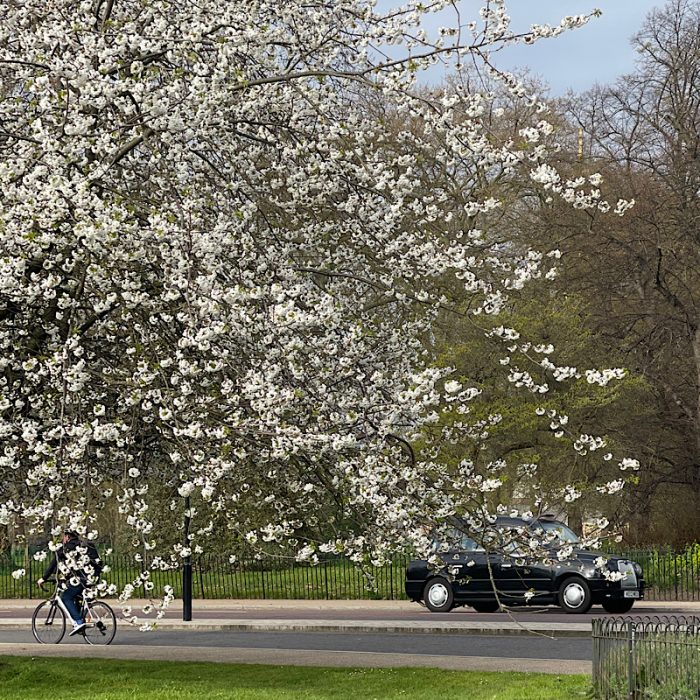 Hyde Park London